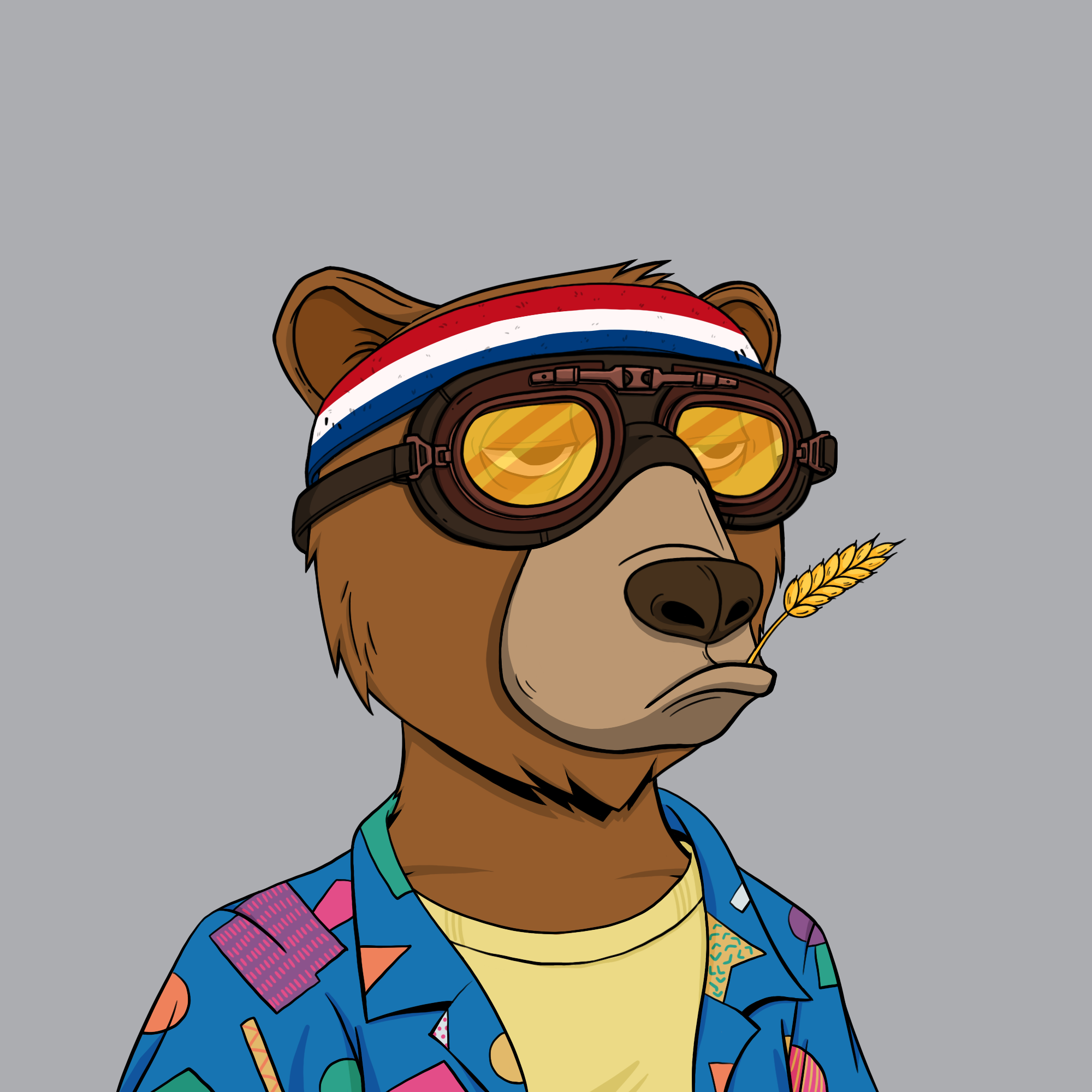nitrix's Okay Bear